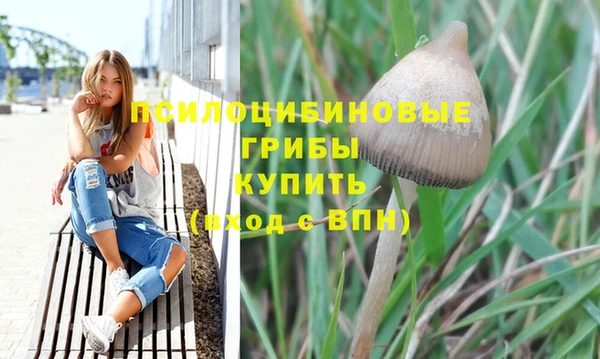 каннабис Алзамай
