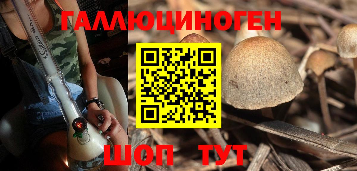 Галлюциногенные грибы Magic Shrooms Кондопога
