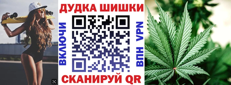 Шишки марихуана семена  где найти наркотики  Кондопога 
